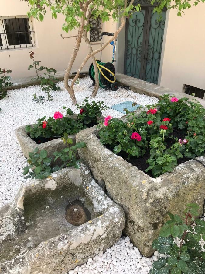 Giardini 82 B&B Gravina in Puglia Esterno foto